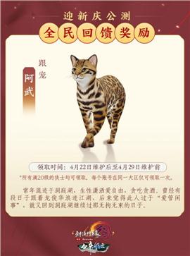 天龙八部私服断开连接